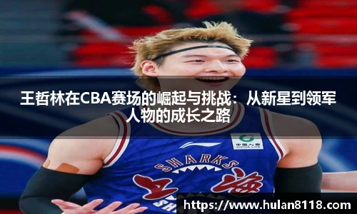 王哲林在CBA赛场的崛起与挑战：从新星到领军人物的成长之路
